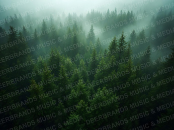 Stockfoto: Tiere & Natur