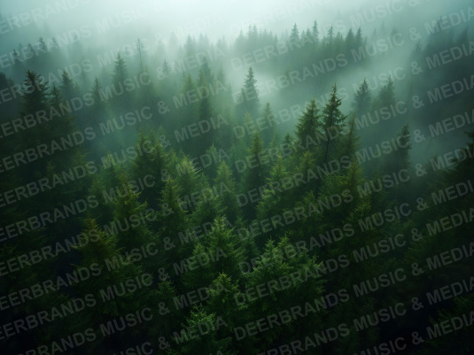Stockfoto: Tiere & Natur