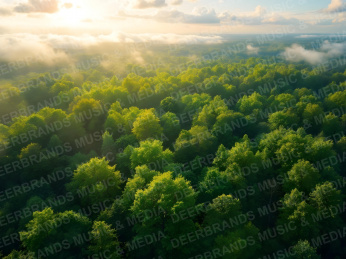 Stockfoto: Tiere & Natur