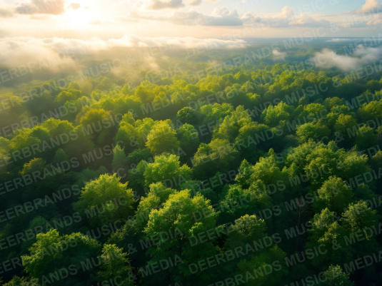 Stockfoto: Tiere & Natur